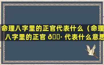 命理八字里的正官代表什么（命理八字里的正官 🌷 代表什么意思）